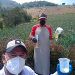 Logística Productiva para Pequeños Productores de Cebolla