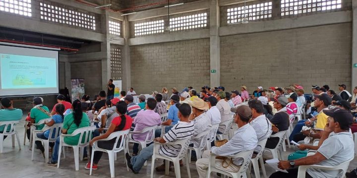 Capacitación y fortalecimiento comunitario